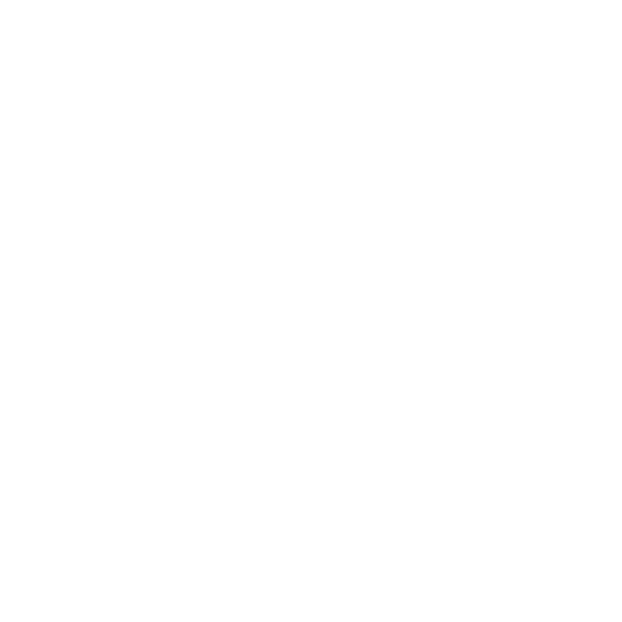 feature-item-2